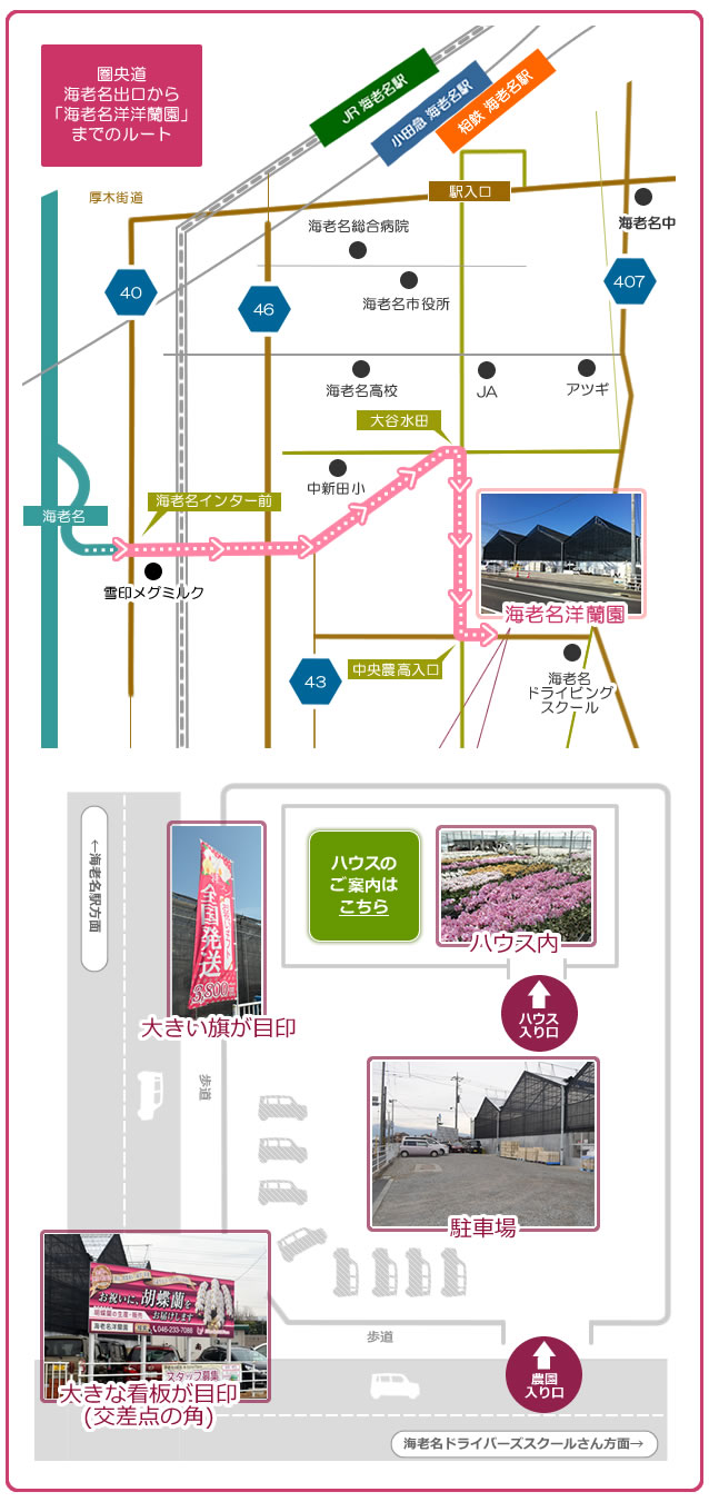 海老名洋蘭園までのルート