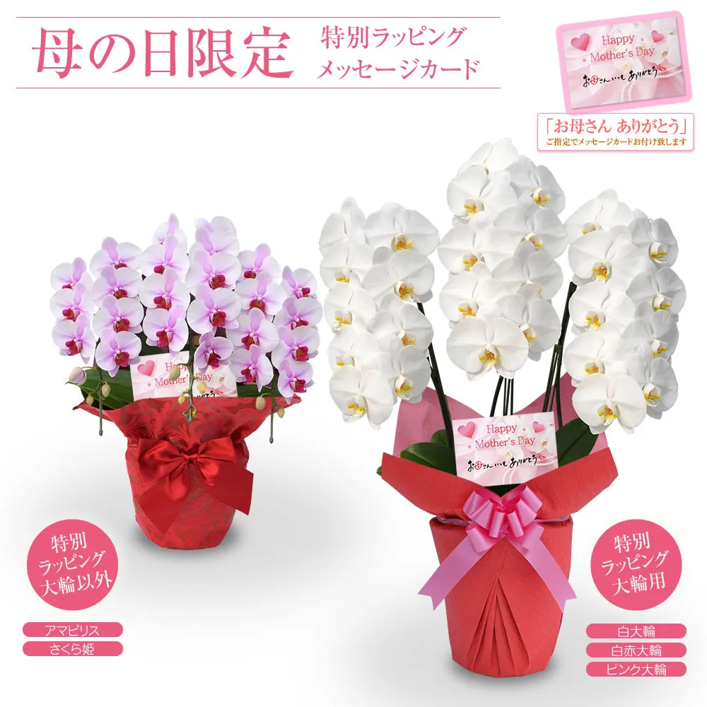 母の日ラッピング