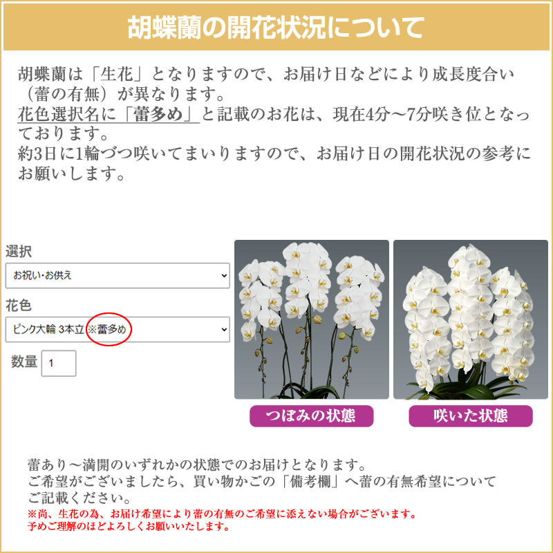 花の咲き具合